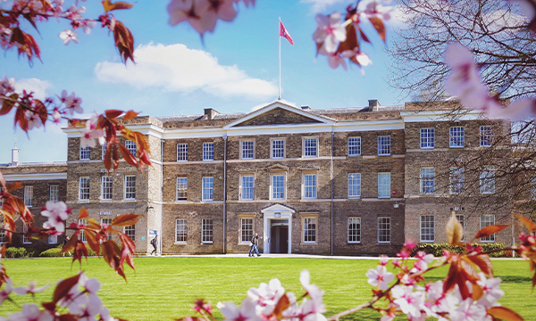 LLB (Hons), University of Leicester programme